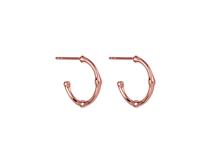 Najo Rose gold plated small bamboo design Earrings
