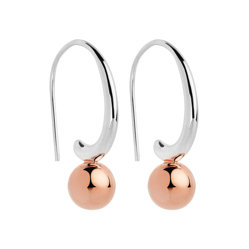 NAJO Fern Silver & Rose Gold Earring