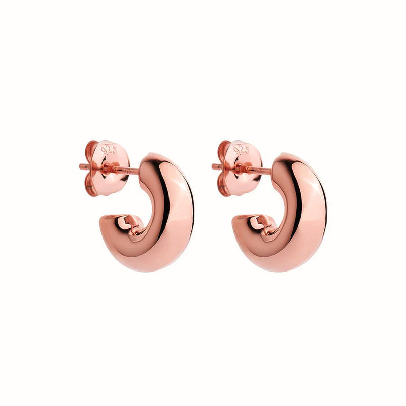 NAJO Moonbow Stud Rose Earrings